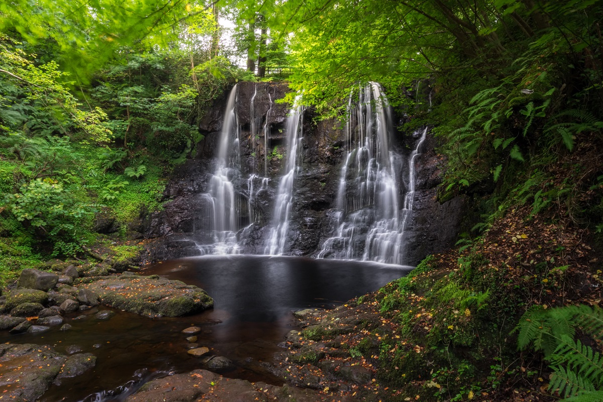 Waterfall Trail Glenariff Forest Park
